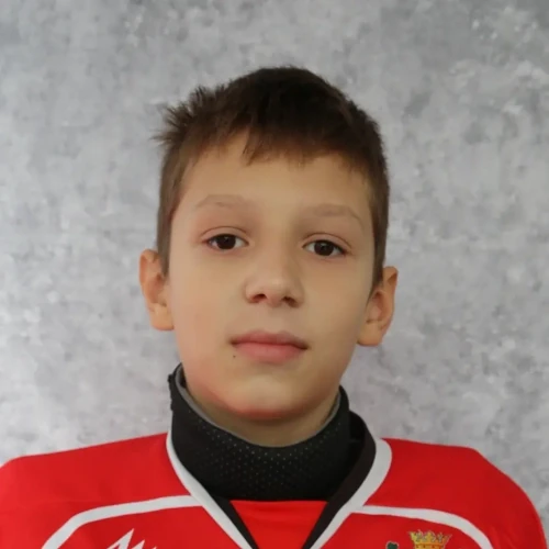 Mihailovskii Maksim Yurevich