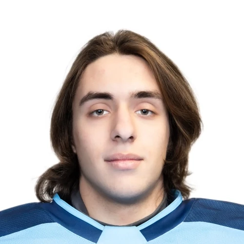Vinnitskii Vladimir Vladimirovich