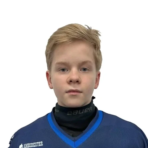 Menyaev Aleksandr Dmitrievich