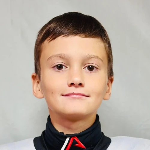 Aleshin Artemii Egorovich