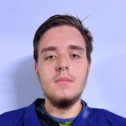 Illarionov Nikita Andreevich