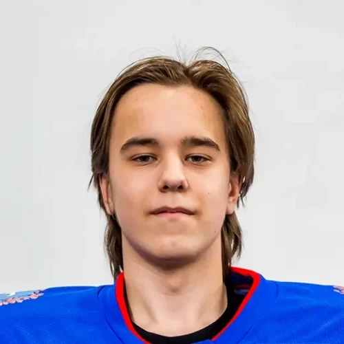 Degtyarev Matvei Pavlovich