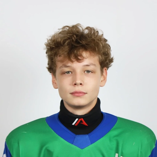Sharafislamov Denis Rishatovich