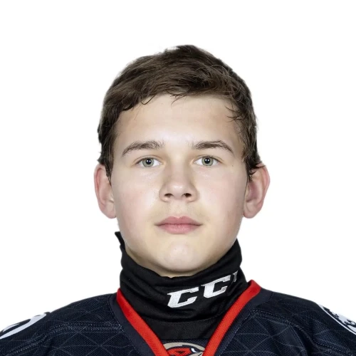 Krendyasev Artem Viktorovich