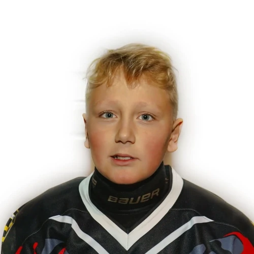 Kornev Dmitrii Mihailovich