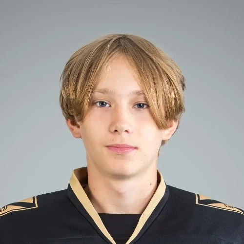Zhironkin Timur Denisovich