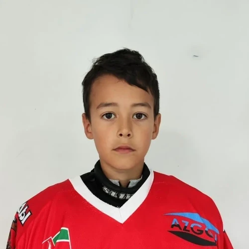 Mustafin Vildan Ainazovich