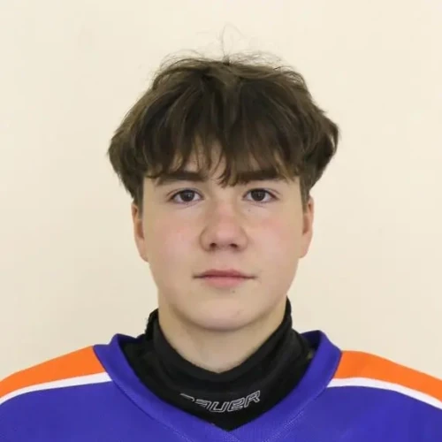 Harlamov Aleksandr Vadimovich