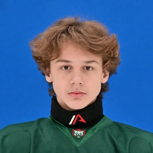 Bocharov Artem Timurovich