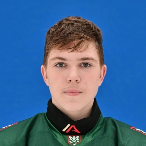 Vodolatskii Gleb Vladimirovich