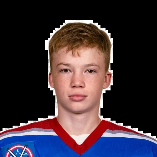 Gulyamov Timur Dmitrievich