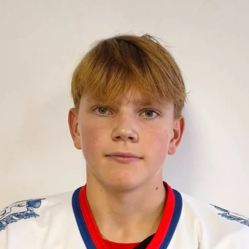 Kuleshov Ilya Nikolaevich