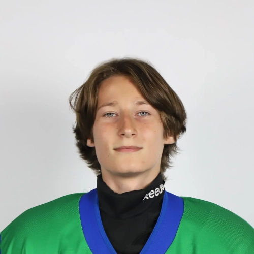 Davletshin Mark Rudolfovich