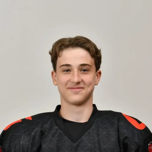 Kostromitin Stepan Denisovich