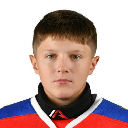 Shalnov Roman Mihailovich