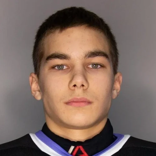 Husainov Egor Romanovich