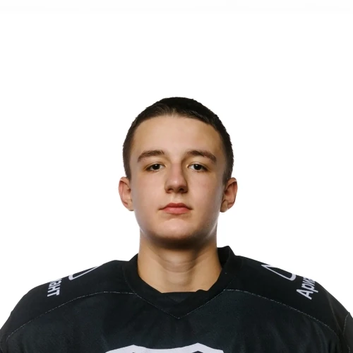 Panferov Timofei Aleksandrovich