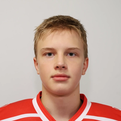 Romanov Egor Andreevich