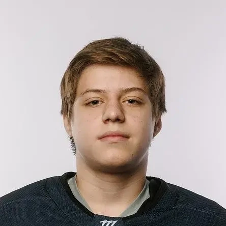 Vorobev Danila Kirillovich