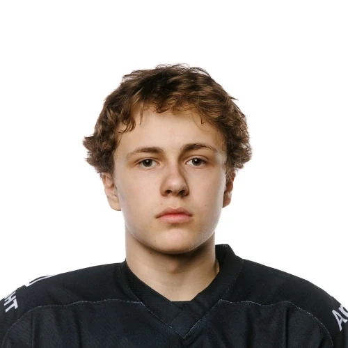Volgin Valentin Stanislavovich