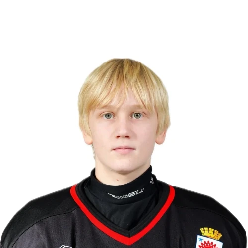 Malenkin Yaroslav Vladislavovich