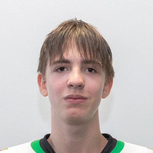 Avvakumov Konstantin Igorevich