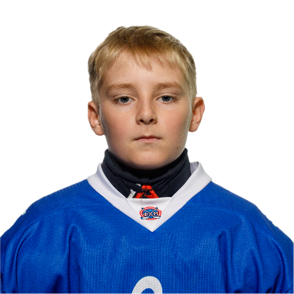 Mineev Dmitrii