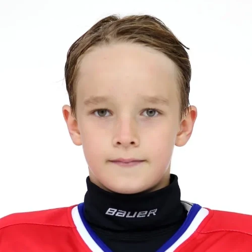 Provorov Vladimir Vladimirovich