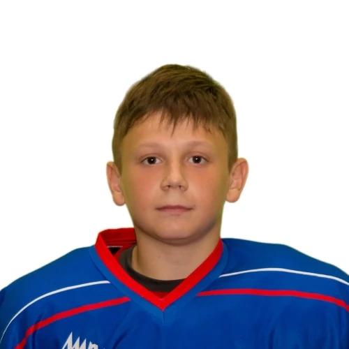 Medvedev Nikolai Ivanovich