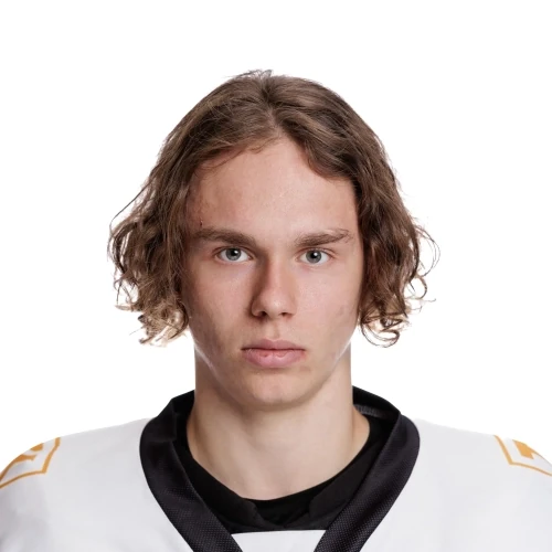 Mul Gleb Maksimovich