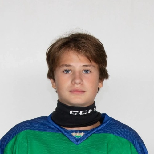 Sakaev Rodion Radmirovich