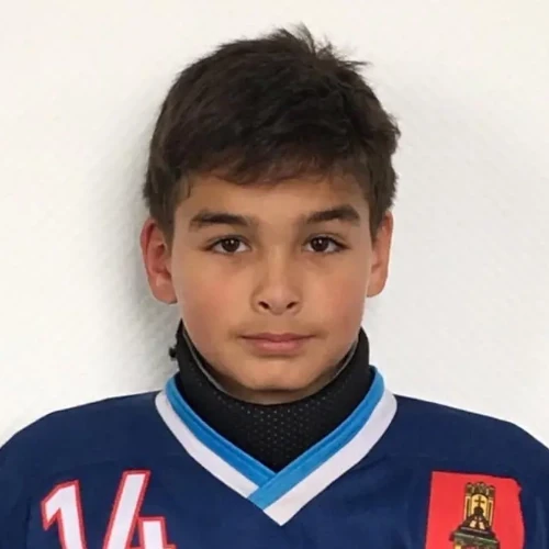 Al-taravneh Aleksei Vasfievich