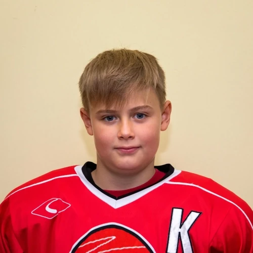 Shestakov Nikita Aleksandrovich