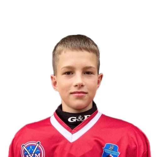 Samsonychev Denis Olegovich