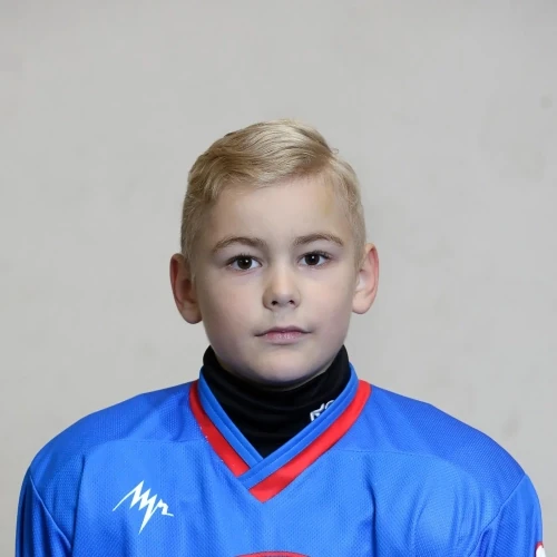 Gulnik Leonid Alekseevich