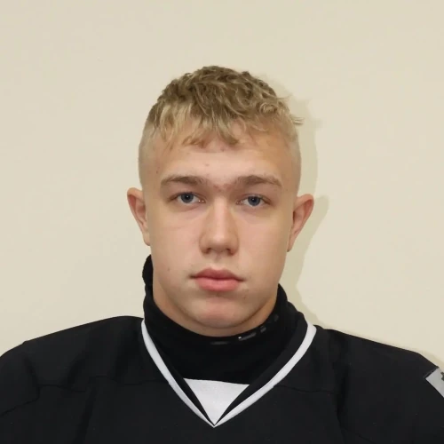 Kulikov Vladimir Aleksandrovich