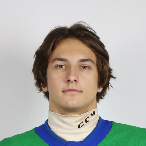 Simonov Mihail Artemovich