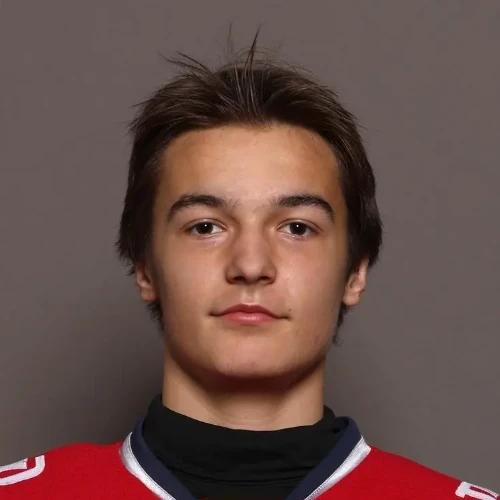 Belousov Fedor Alekseevich