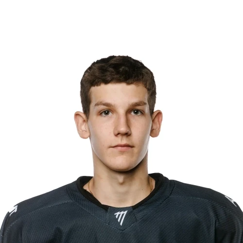 Sofin Mark Alekseevich