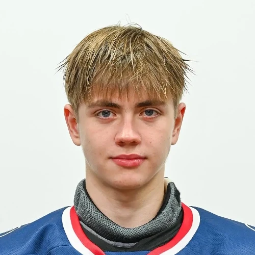 Lebedev Andrei Evgenevich