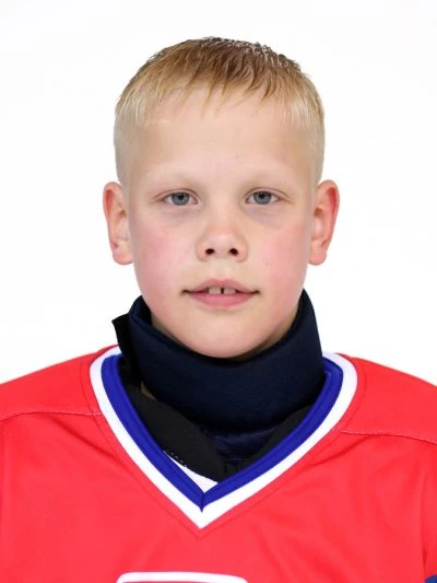 Pestovskii Ilya Alekseevich