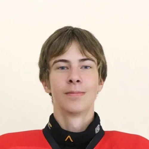 Zaitsev Artem Konstantinovich