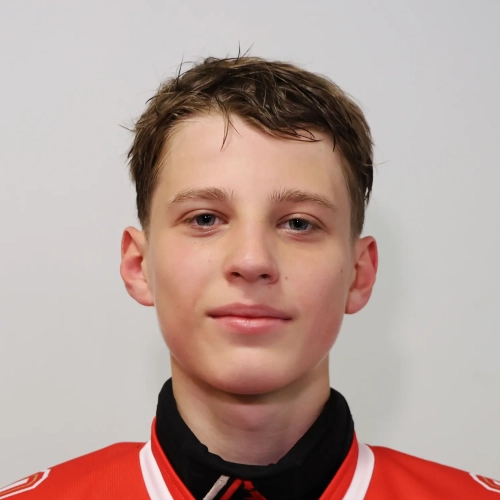 Nikonov Dmitrii Sergeevich