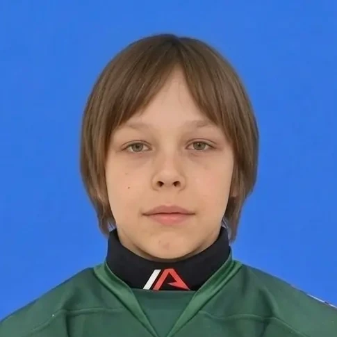 Ilin Diomid Vasilevich