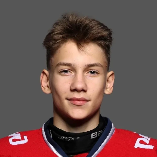 Nikitin Zahar Igorevich