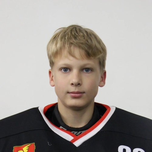 Selivanov Roman Viktorovich