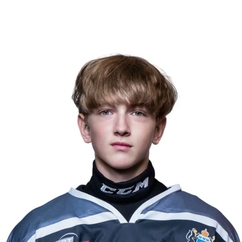 Sobolev Dmitrii Nikolaevich