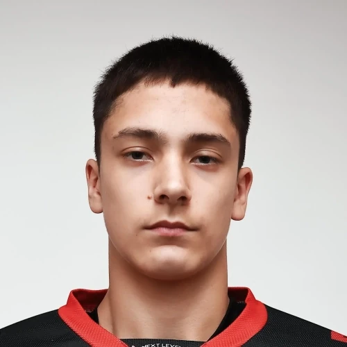 Bessonov Mihail Aleksandrovich