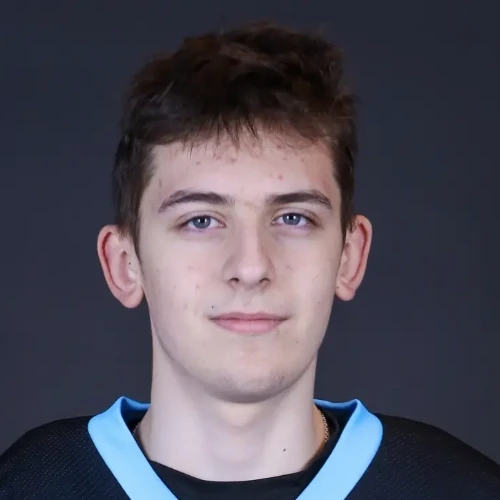 Kashtelyan Roman Dmitrievich