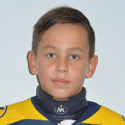 Lomaka Roman Artemovich